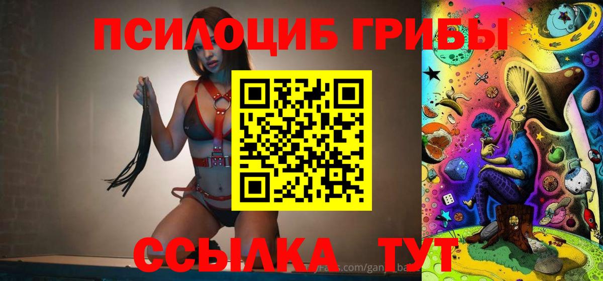 Галлюциногенные грибы Psilocybine cubensis  Псилоцибиновые грибы мицелий  Вход с VPN  Озёрск 