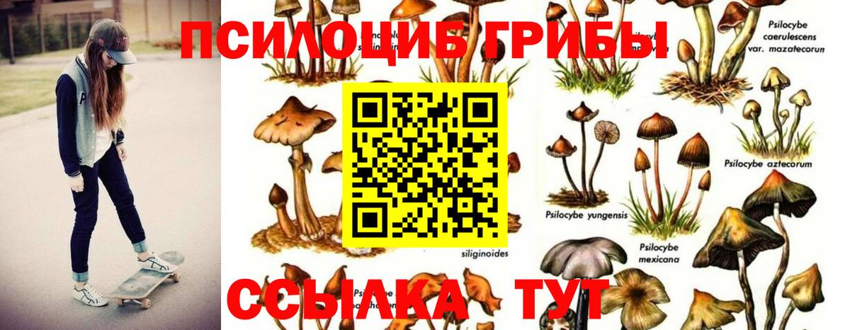 Псилоцибиновые грибы мухоморы Озёрск